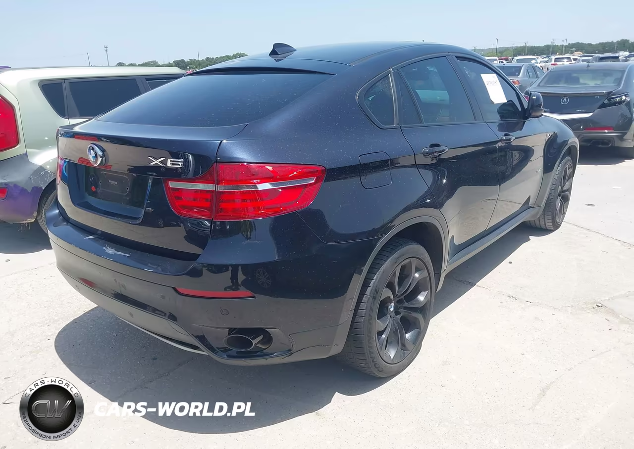 2013 BMW X6 xDrive35I VIN:5UXFG2C56DL787676 - 4
