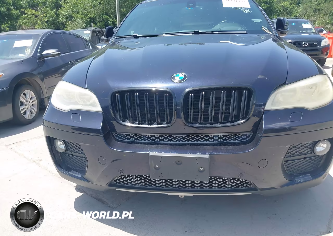 2013 BMW X6 xDrive35I VIN:5UXFG2C56DL787676 - 6