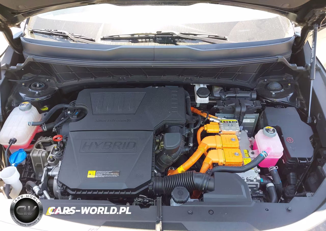 2023 Kia Niro Ex VIN:KNDCR3LE2P5050603 - 10