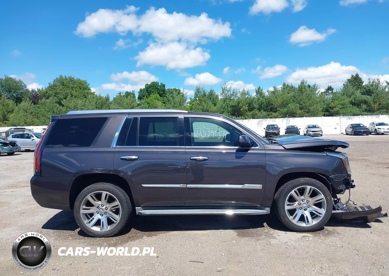2015 Cadillac Escalade Premium VIN:1GYS4CKJ9FR295151 - 14