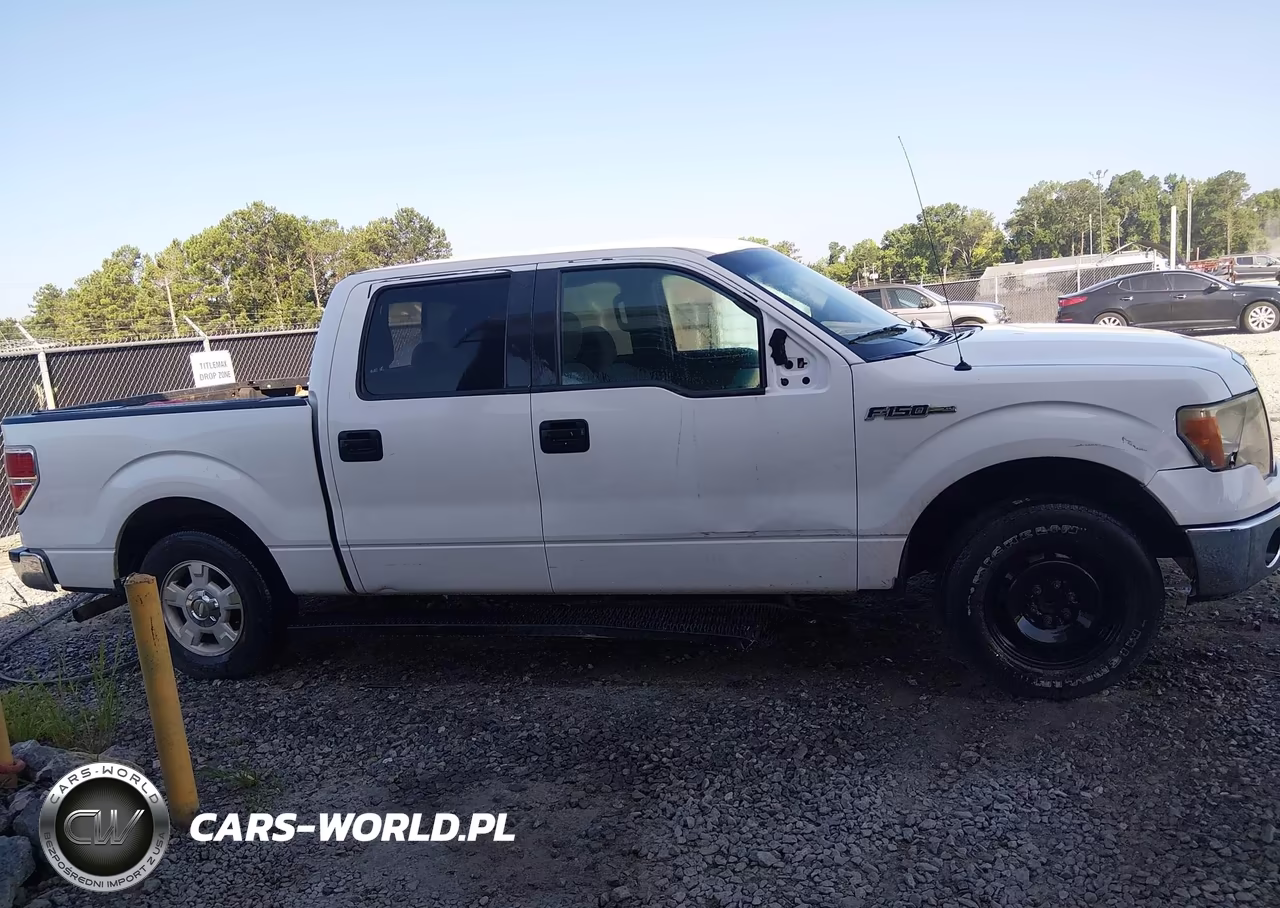 2013 Ford F-150 Xlt VIN:1FTFW1CF6DKF00320 - 13