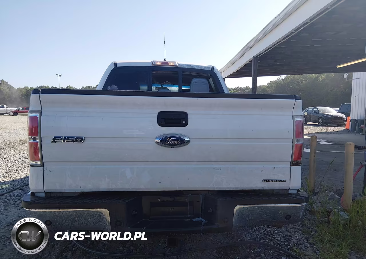2013 Ford F-150 Xlt VIN:1FTFW1CF6DKF00320 - 16