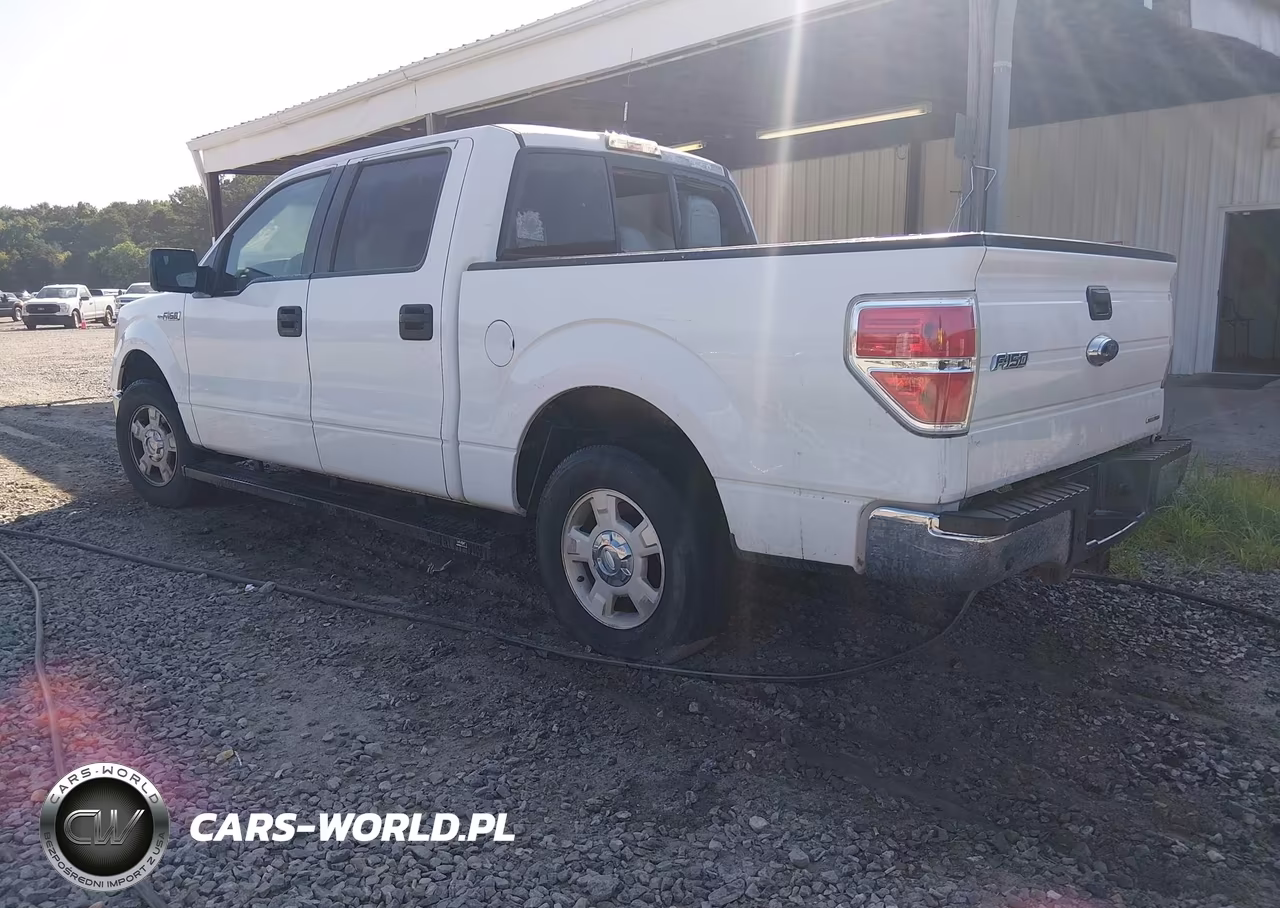 2013 Ford F-150 Xlt VIN:1FTFW1CF6DKF00320 - 3