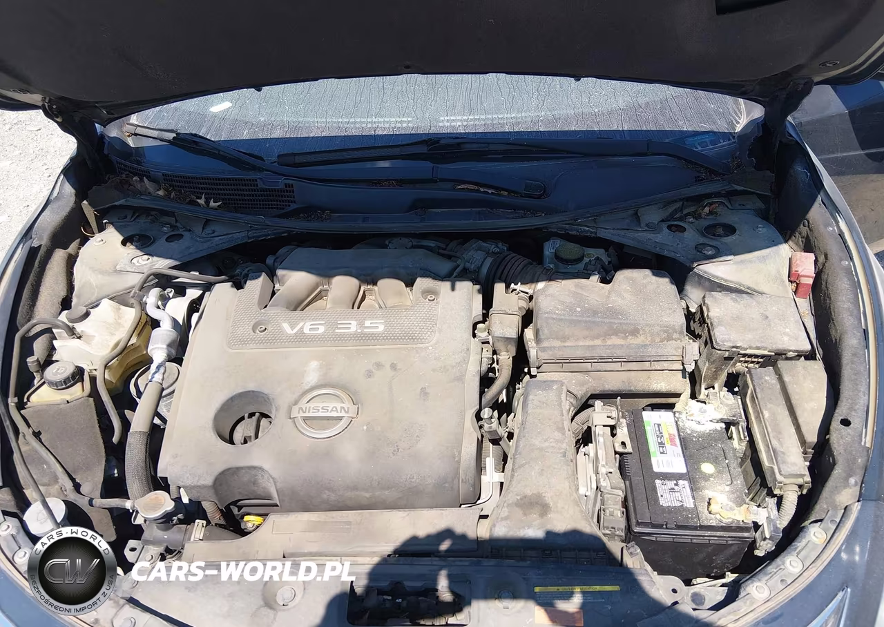 2013 Nissan Altima 3.5 Sl VIN:1N4BL3AP3DC252106 - 10