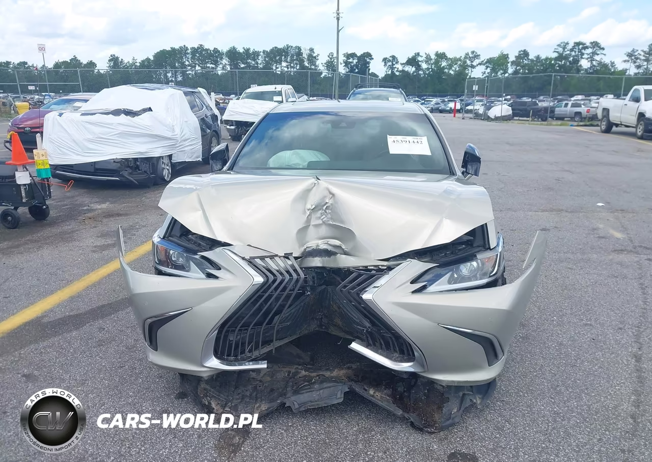 2019 Lexus Es 350 VIN:58ABZ1B17KU010020 - 12