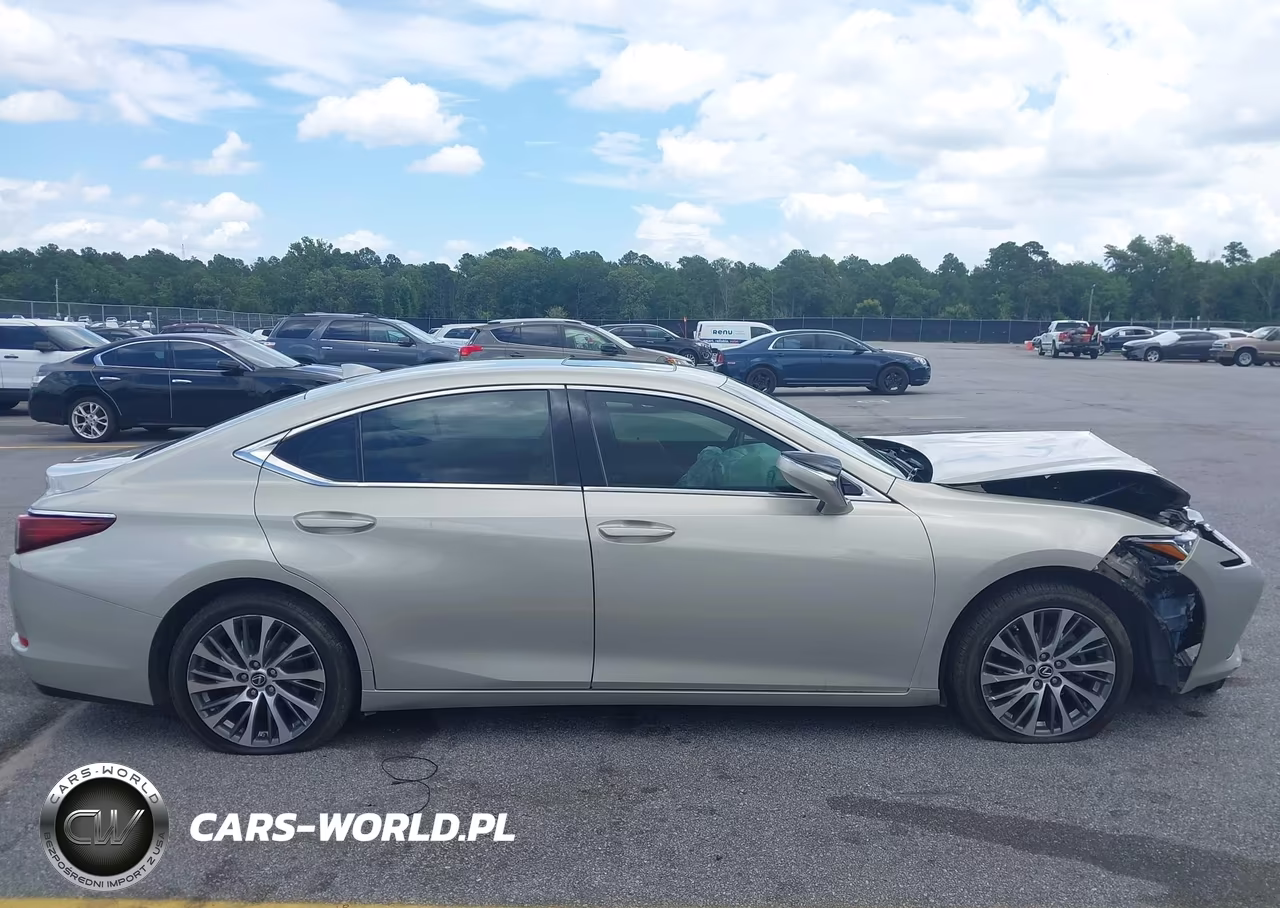 2019 Lexus Es 350 VIN:58ABZ1B17KU010020 - 13