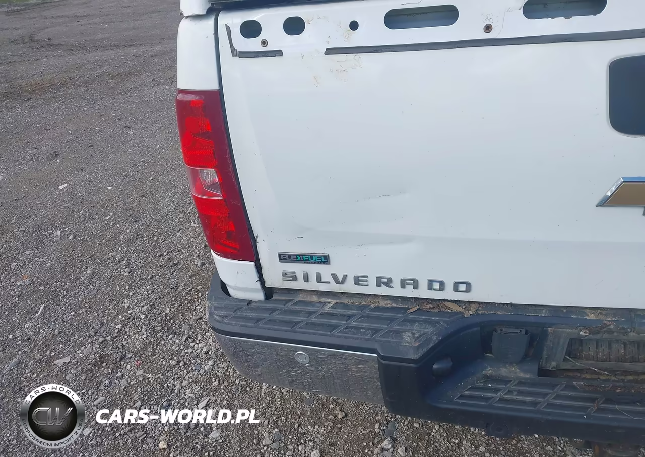 2011 Chevrolet Silverado 1500 Lt VIN:1GCRKSE31BZ435172 - 19