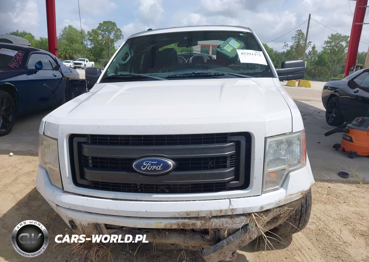 2013 Ford F-150 Stx VIN:1FTFX1EF7DKF17962 - 12