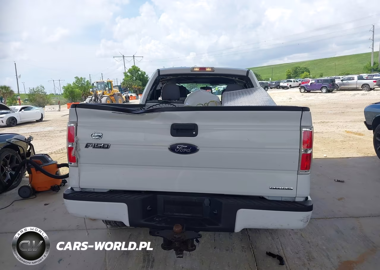 2013 Ford F-150 Stx VIN:1FTFX1EF7DKF17962 - 16