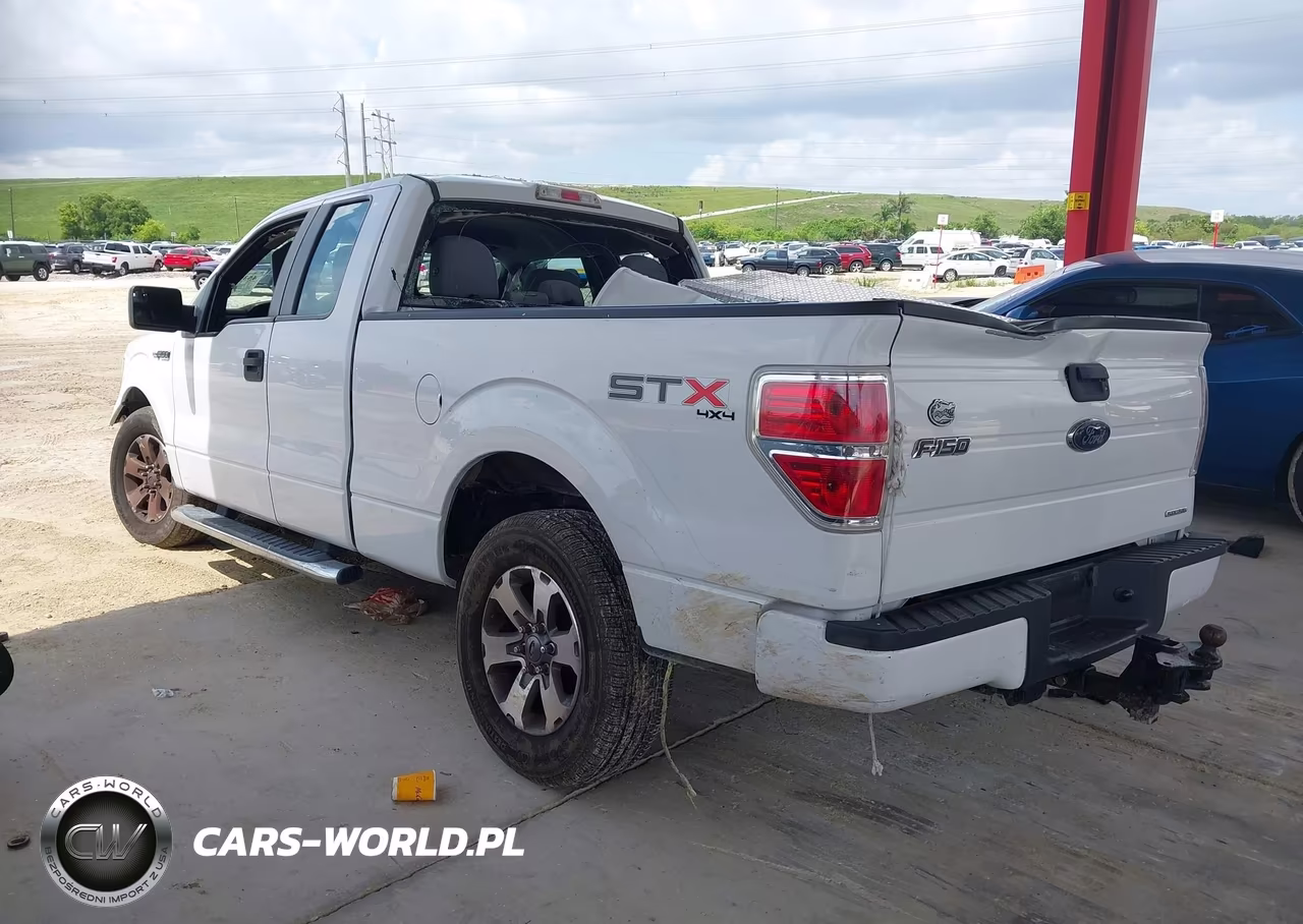 2013 Ford F-150 Stx VIN:1FTFX1EF7DKF17962 - 3
