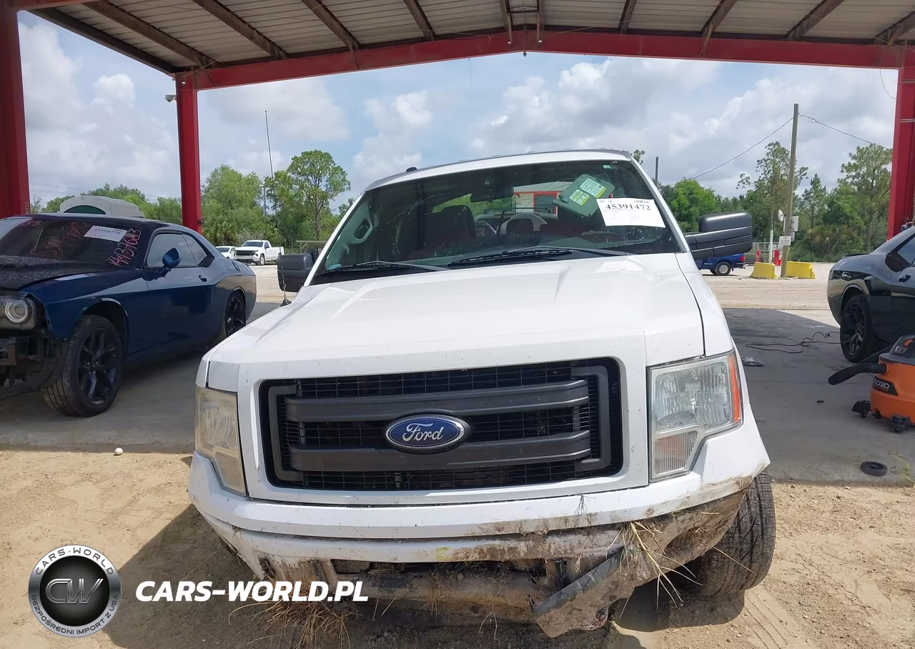 2013 Ford F-150 Stx VIN:1FTFX1EF7DKF17962 - 6