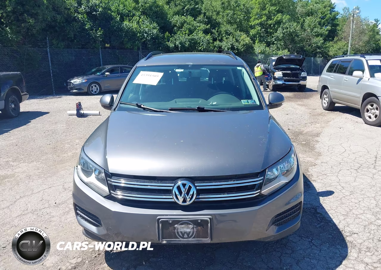 2015 Volkswagen Tiguan S VIN:WVGBV7AX5FW581608 - 12