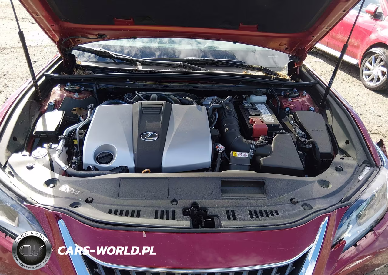 2025 Lexus Es 350 VIN:58ADZ1B19SU209739 - 10