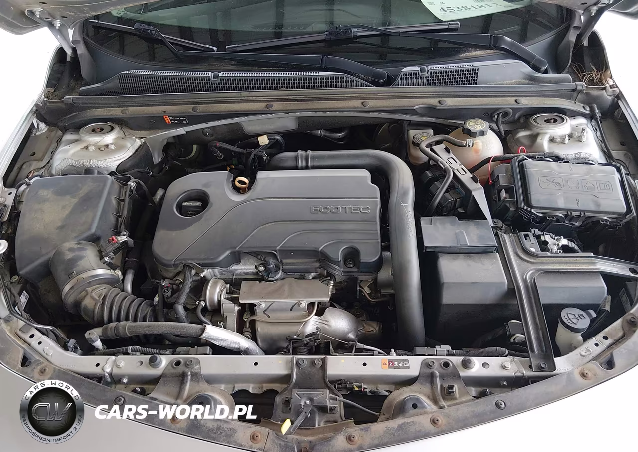 2019 Chevrolet Malibu 1Fl VIN:1G1ZC5ST0KF194525 - 10