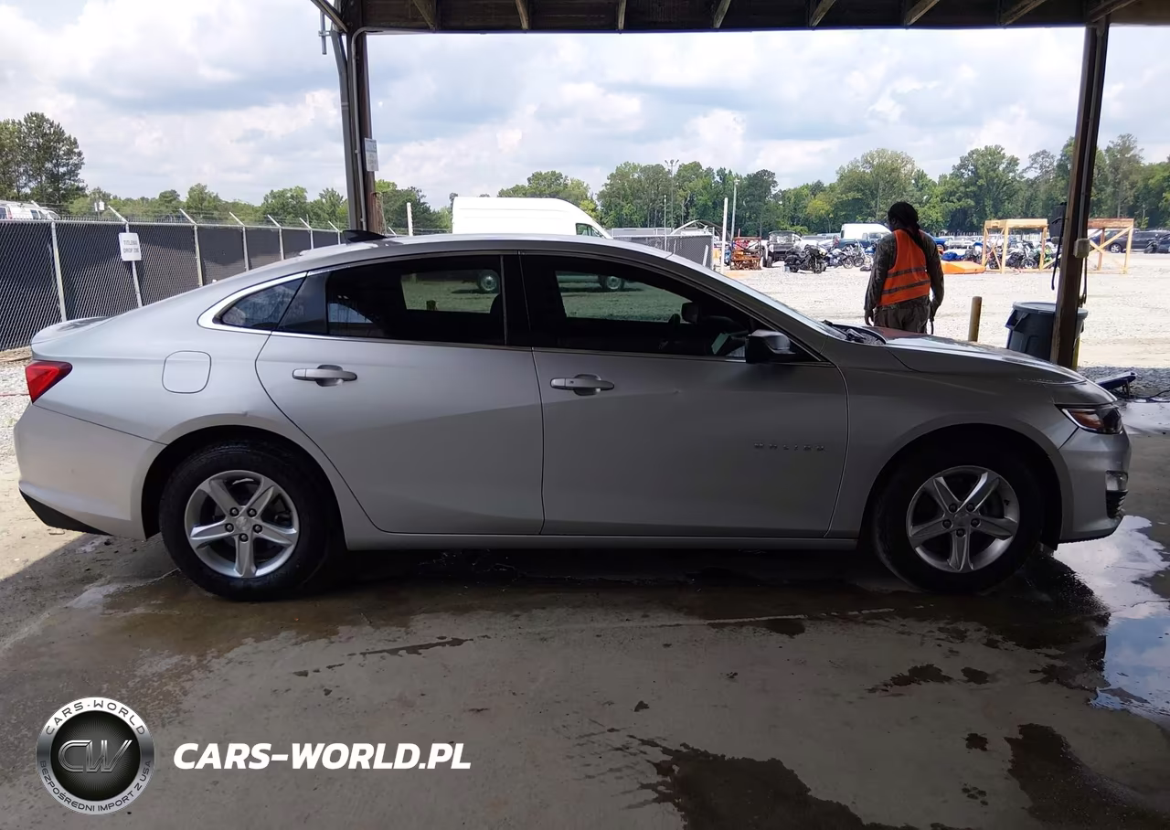 2019 Chevrolet Malibu 1Fl VIN:1G1ZC5ST0KF194525 - 16