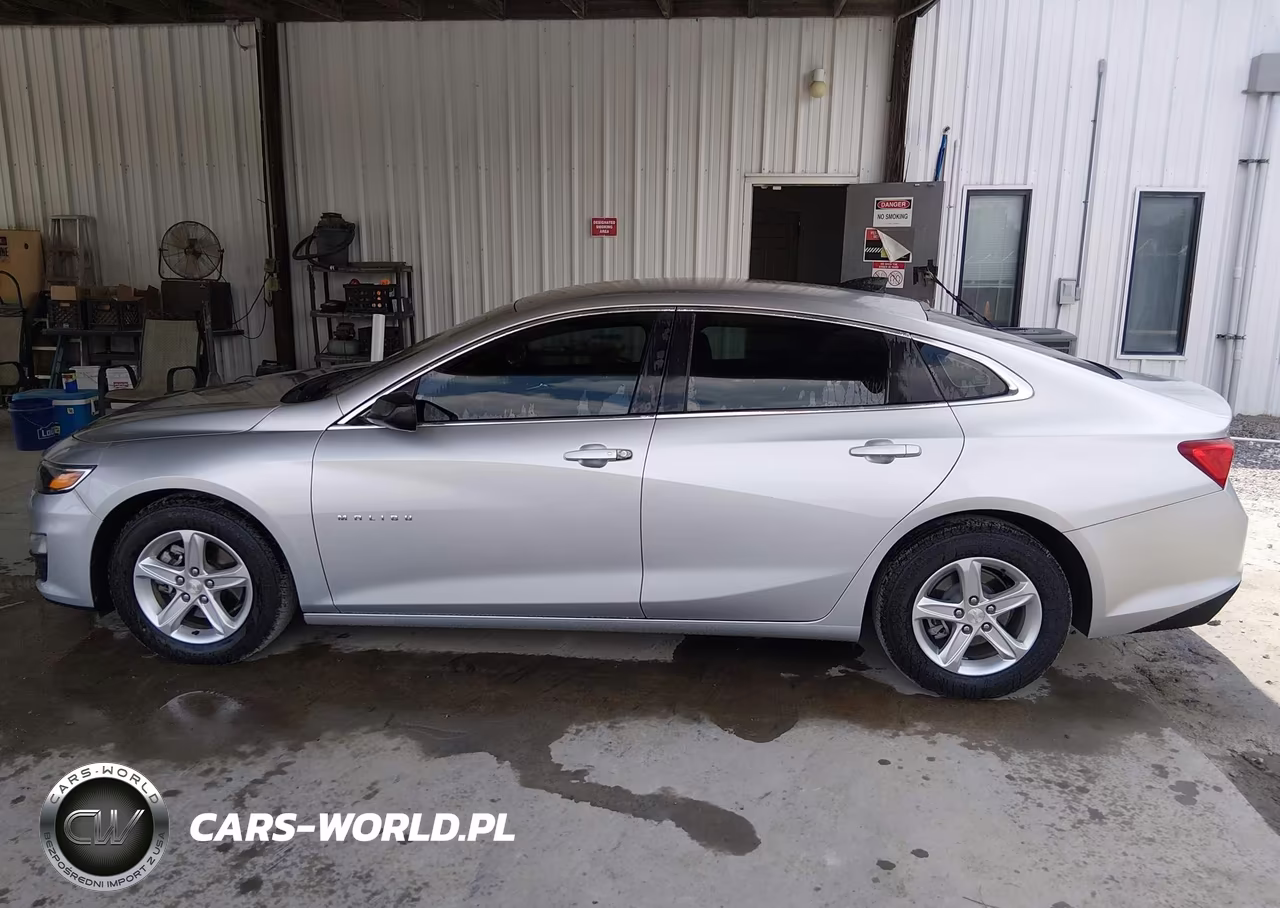 2019 Chevrolet Malibu 1Fl VIN:1G1ZC5ST0KF194525 - 17