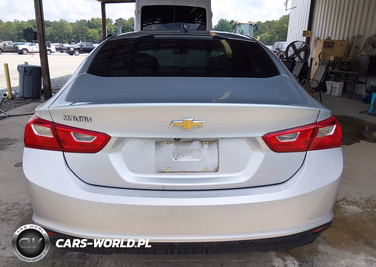 2019 Chevrolet Malibu 1Fl VIN:1G1ZC5ST0KF194525 - 19