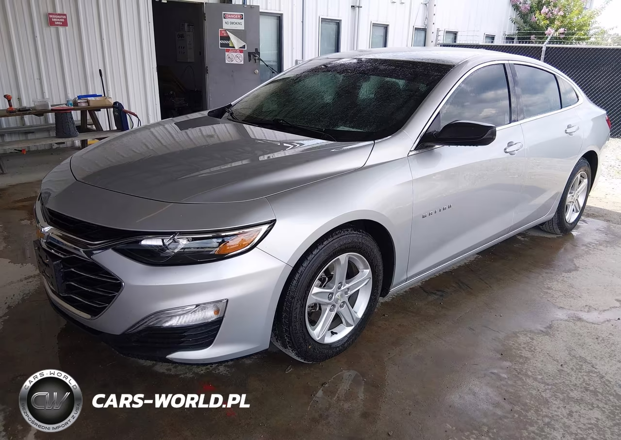 2019 Chevrolet Malibu 1Fl VIN:1G1ZC5ST0KF194525 - 2