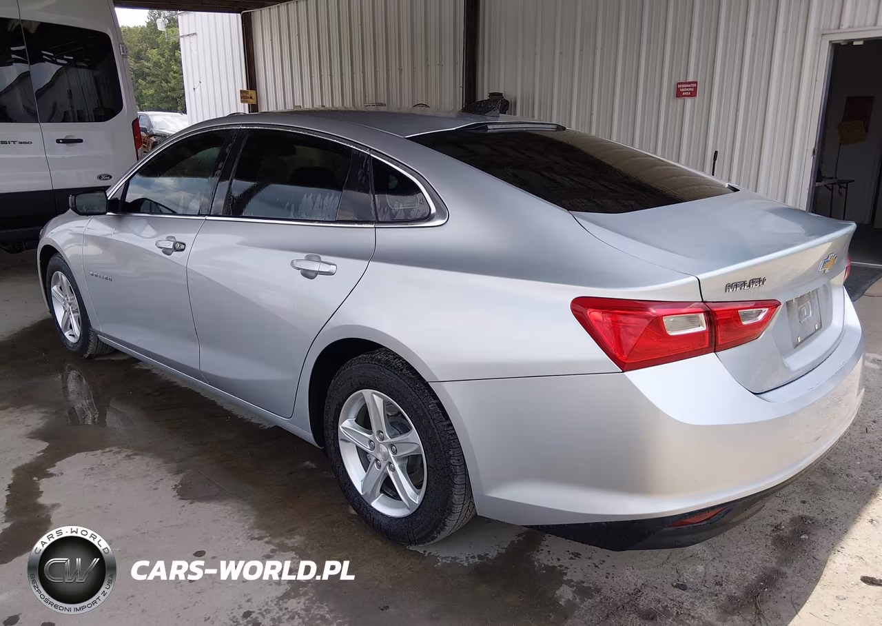 2019 Chevrolet Malibu 1Fl VIN:1G1ZC5ST0KF194525 - 3
