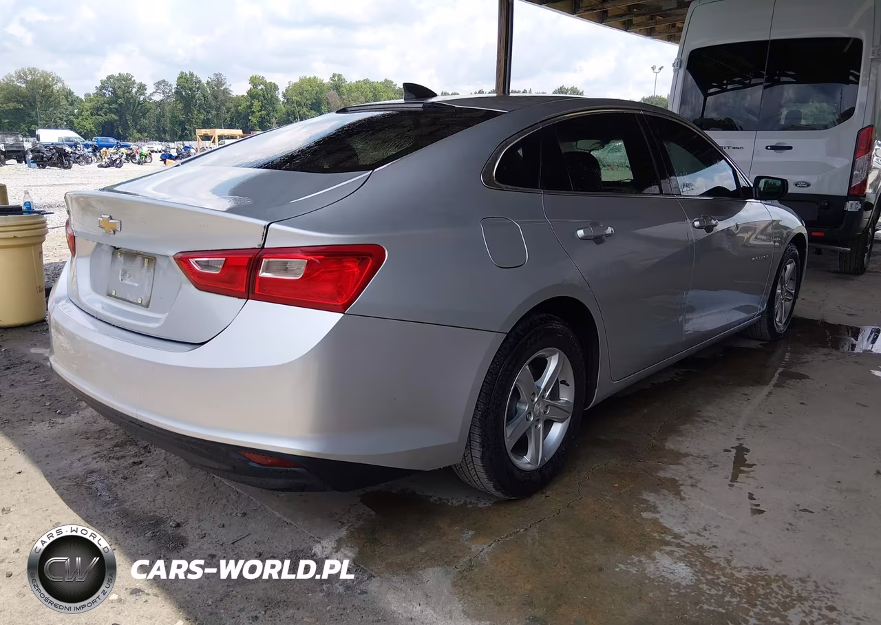 2019 Chevrolet Malibu 1Fl VIN:1G1ZC5ST0KF194525 - 4