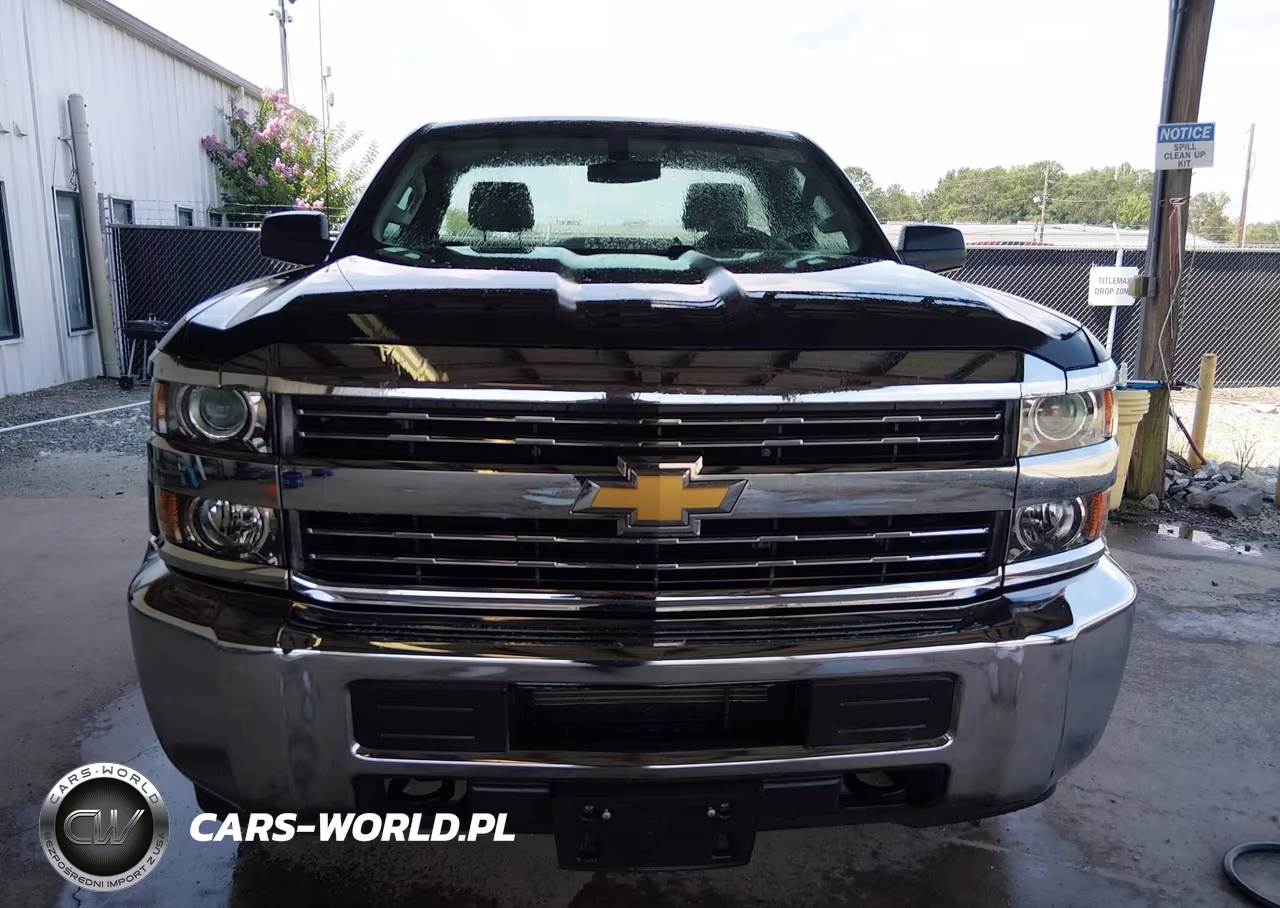2018 Chevrolet Silverado 2500Hd Work Truck VIN:1GC0CUEG8JZ302055 - 12