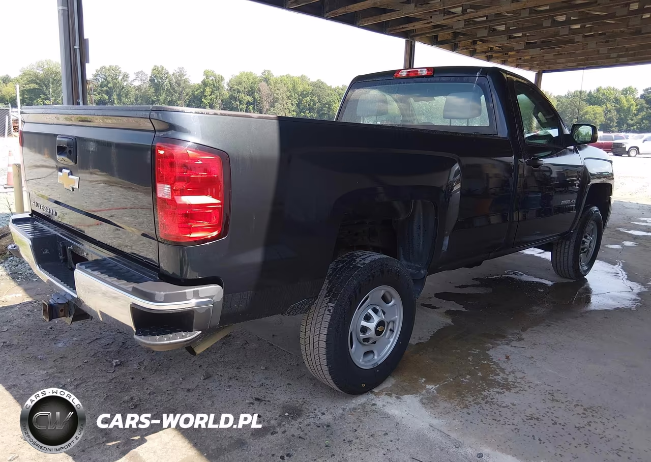 2018 Chevrolet Silverado 2500Hd Work Truck VIN:1GC0CUEG8JZ302055 - 4