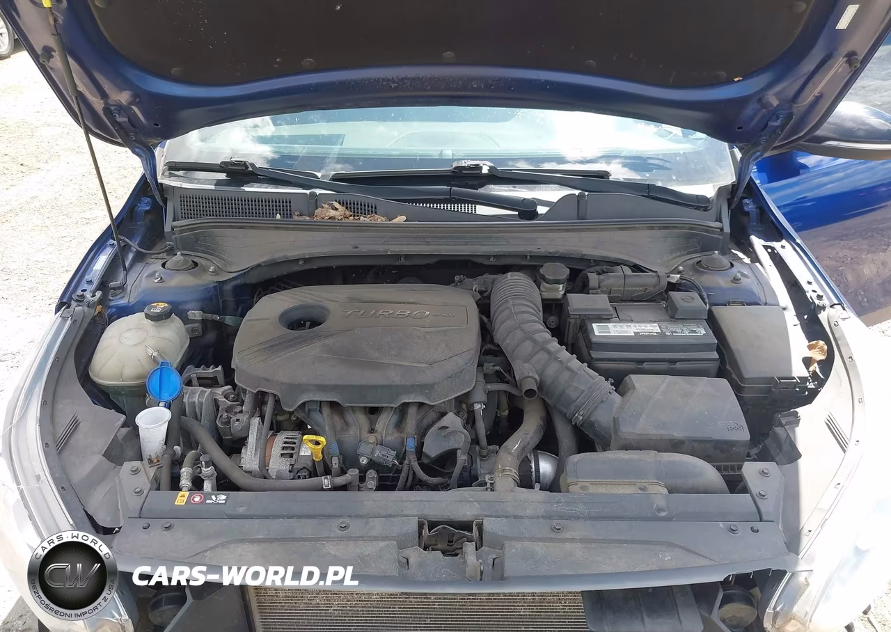 2020 Kia Forte Gt VIN:3KPF44AC7LE249423 - 10