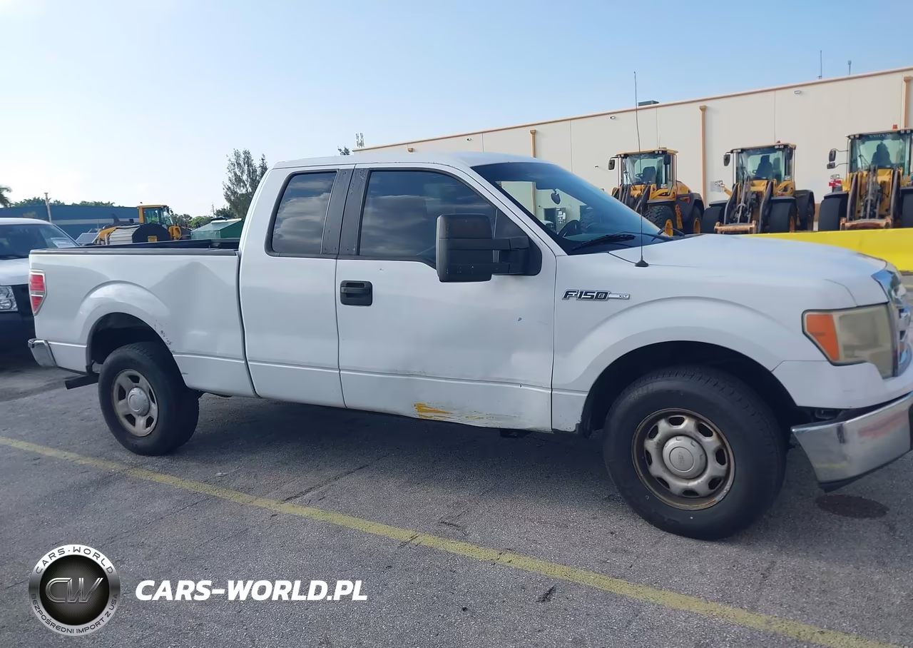 2010 Ford F-150 Fx2 Sport-Stx-Xl-Xlt VIN:1FTEX1C85AFC55394 - 13