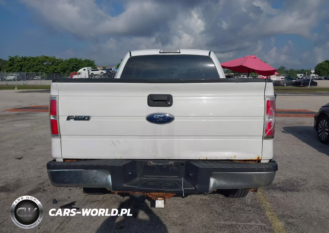 2010 Ford F-150 Fx2 Sport-Stx-Xl-Xlt VIN:1FTEX1C85AFC55394 - 16