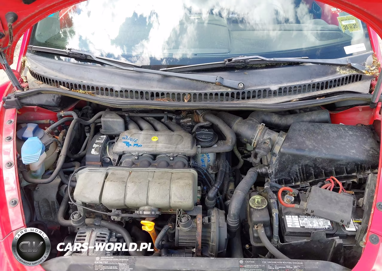 2004 Volkswagen New Beetle Gls VIN:3VWCM21Y24M306473 - 10
