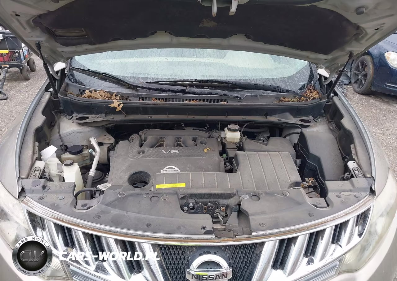 2010 Nissan Murano Le VIN:JN8AZ1MWXAW113780 - 10