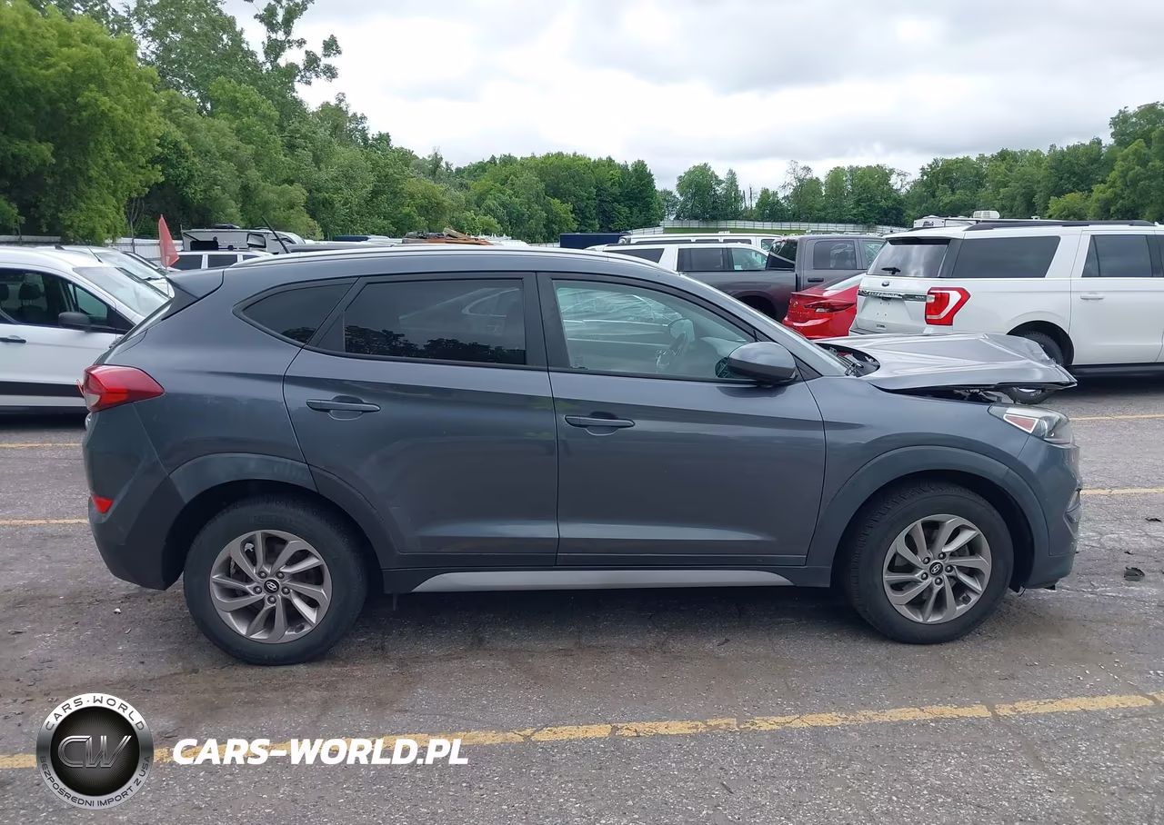 2017 Hyundai Tucson Se VIN:KM8J33A40HU441707 - 13