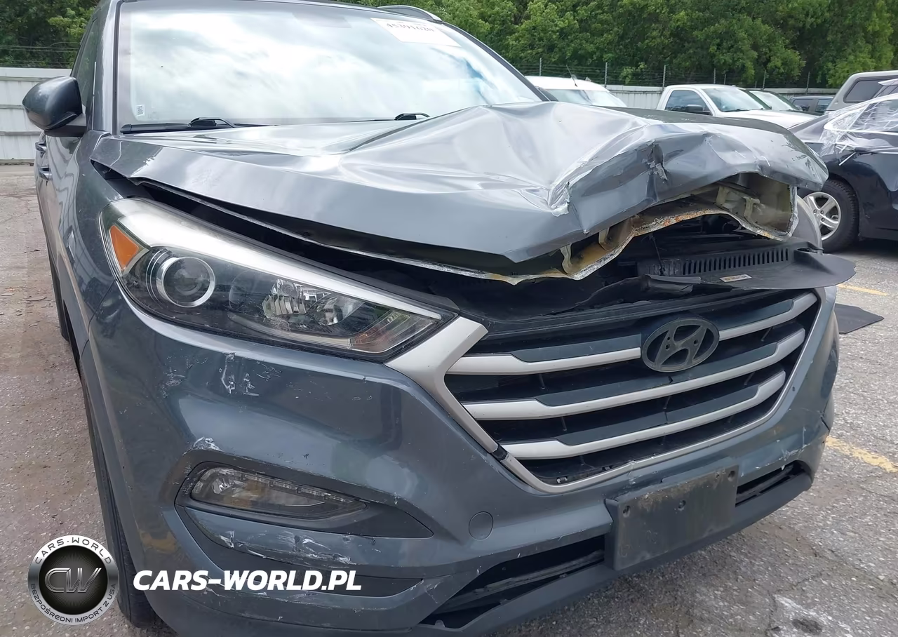 2017 Hyundai Tucson Se VIN:KM8J33A40HU441707 - 6