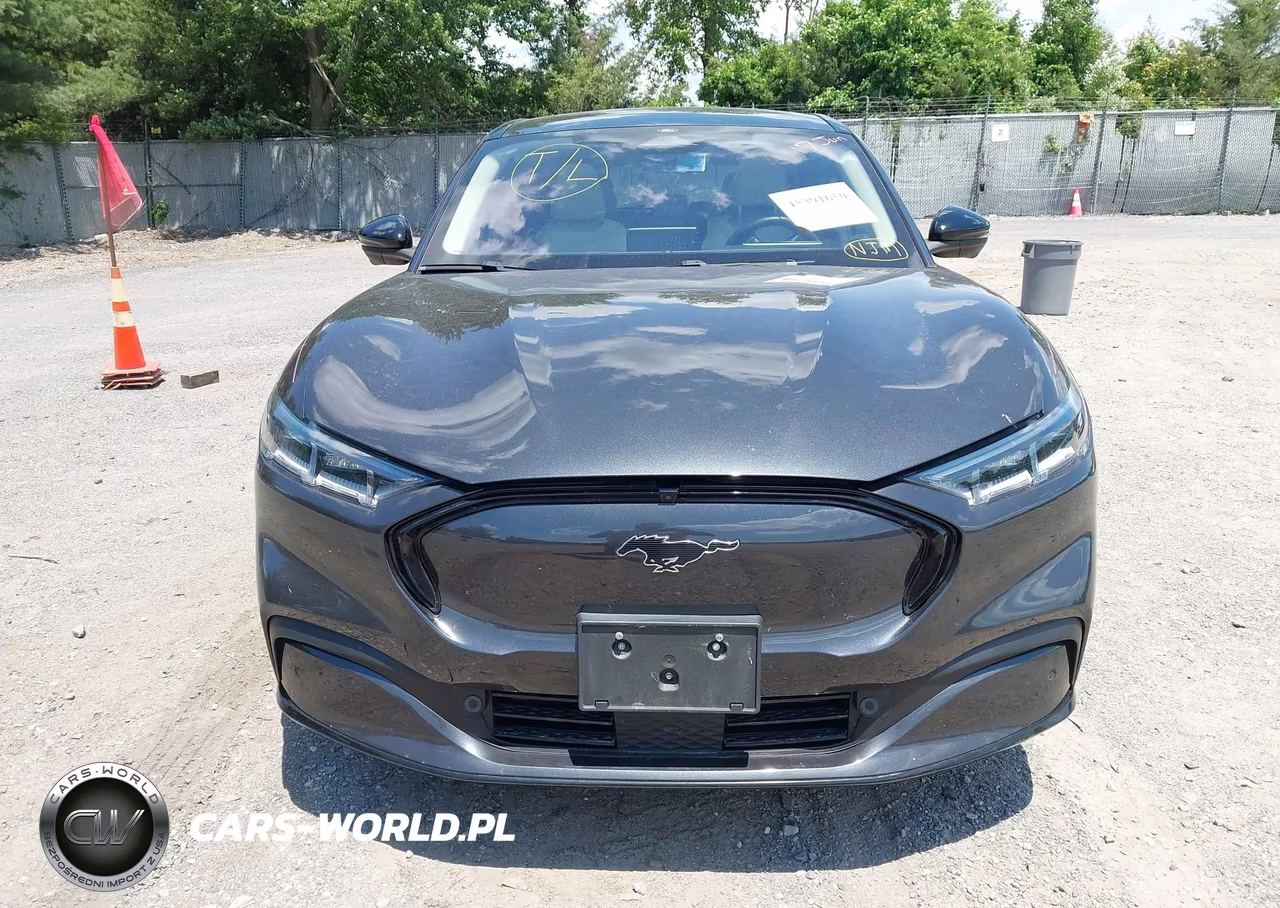 2021 Ford Mustang Mach-E Premium VIN:3FMTK3R77MMA60509 - 12