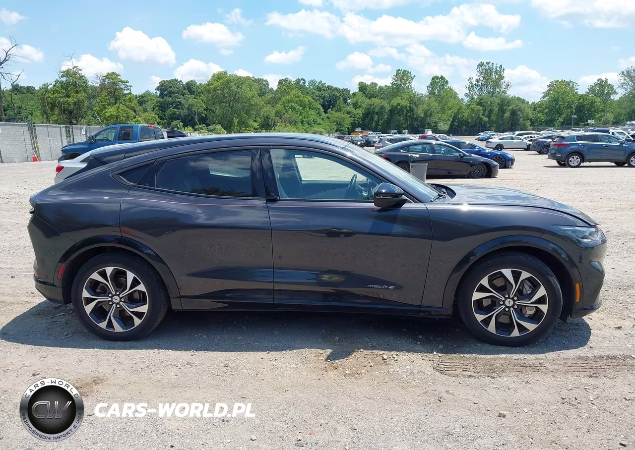 2021 Ford Mustang Mach-E Premium VIN:3FMTK3R77MMA60509 - 13