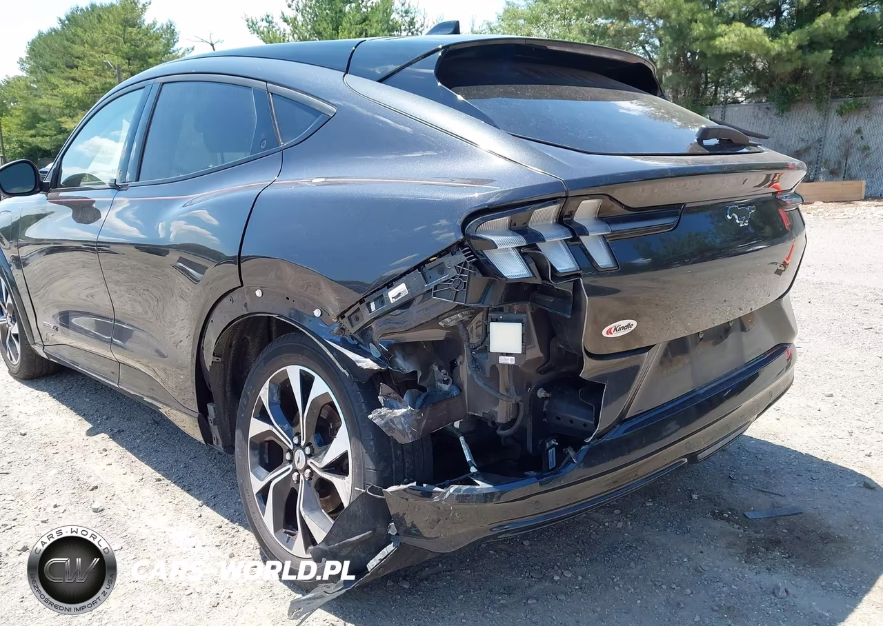 2021 Ford Mustang Mach-E Premium VIN:3FMTK3R77MMA60509 - 19