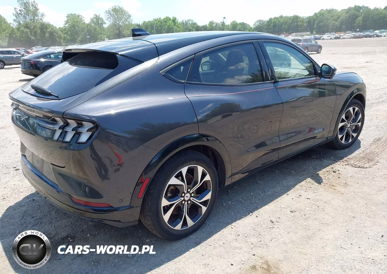 2021 Ford Mustang Mach-E Premium VIN:3FMTK3R77MMA60509 - 4
