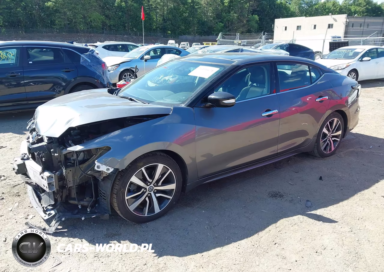 2019 Nissan Maxima 3.5 Sl VIN:1N4AA6AV9KC362169 - 2