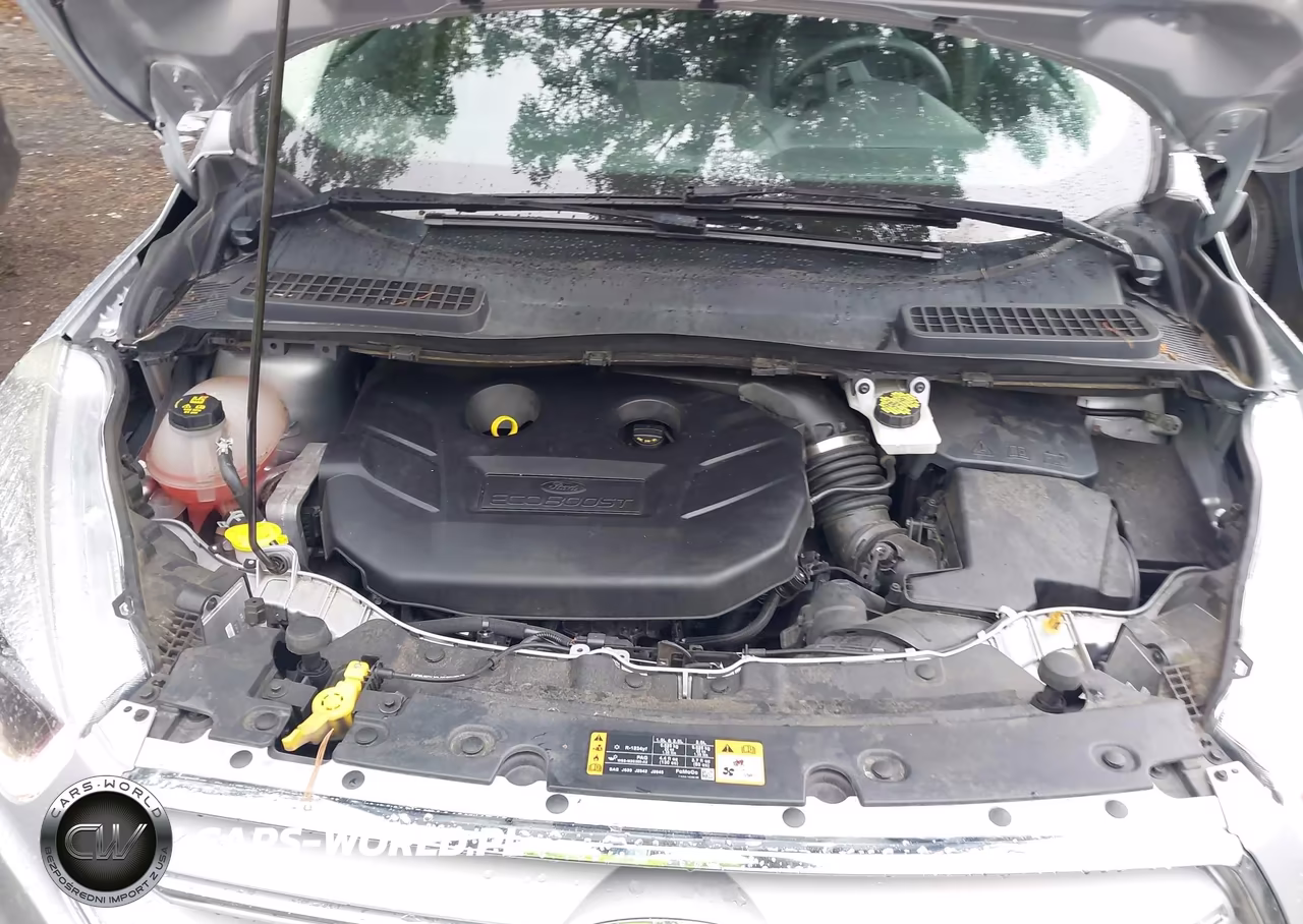 2019 Ford Escape Titanium VIN:1FMCU9J96KUC57609 - 10