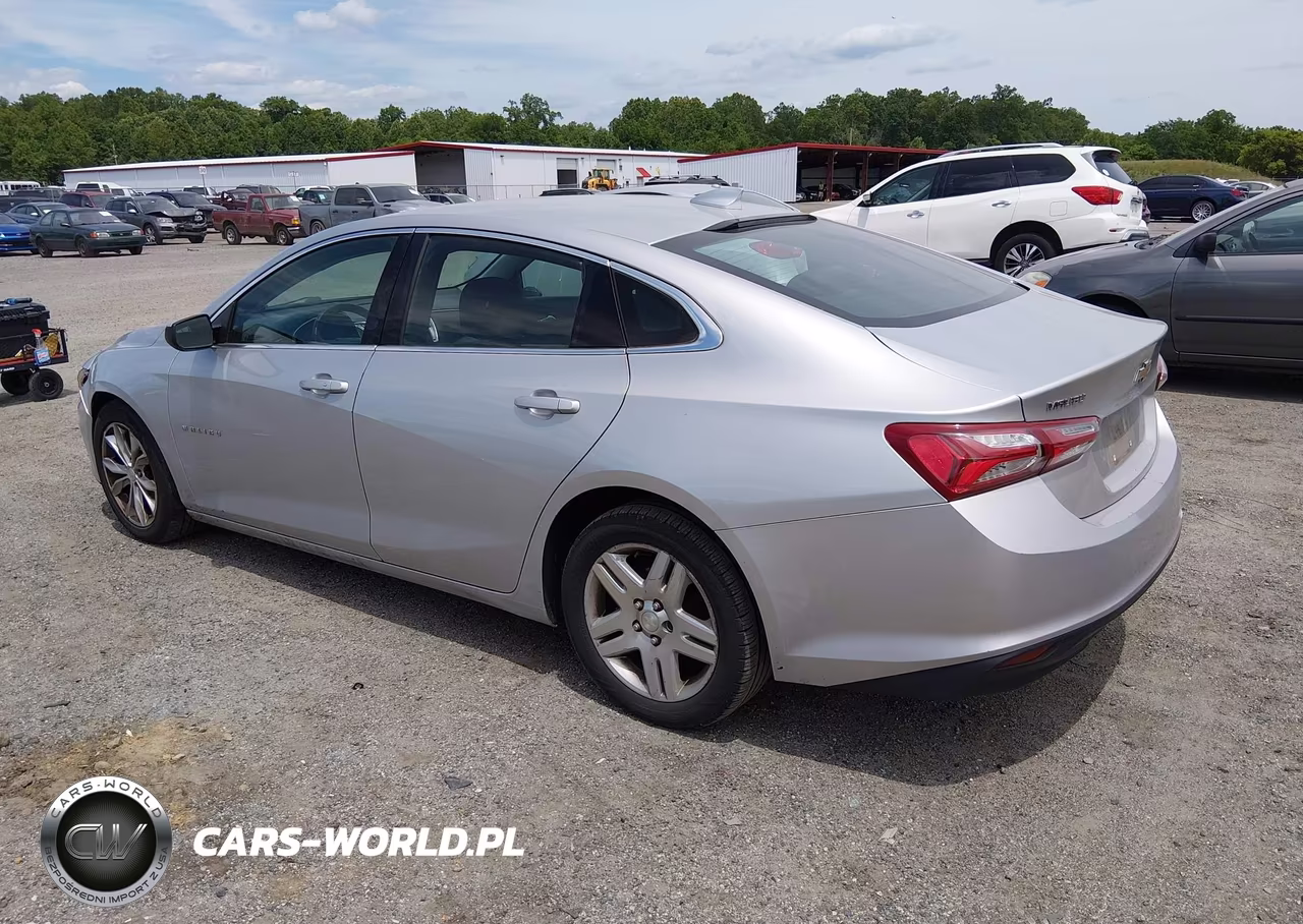 2019 Chevrolet Malibu Lt VIN:1G1ZD5ST0KF139652 - 3