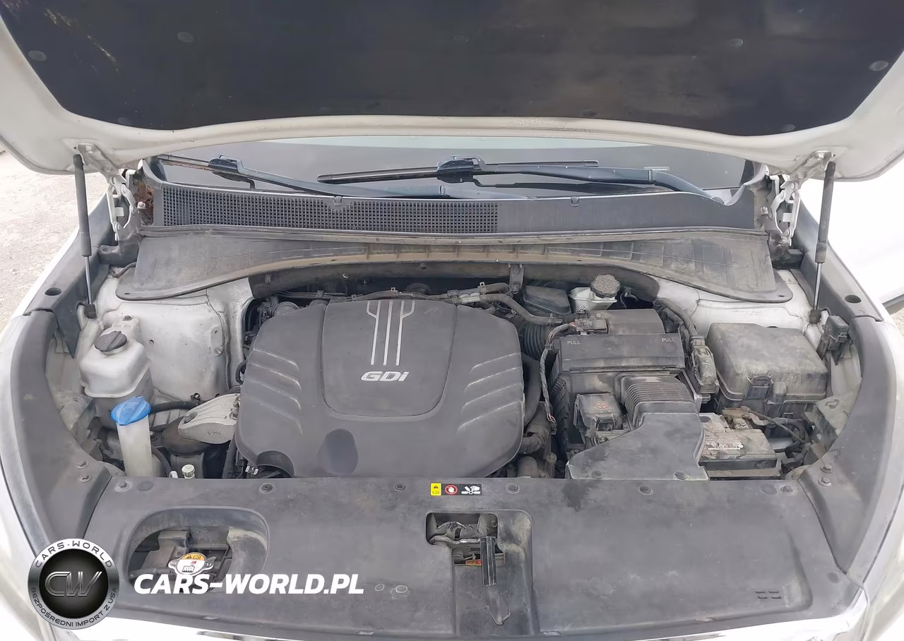 2016 Kia Sorento 3.3L Ex VIN:5XYPHDA5XGG015618 - 10