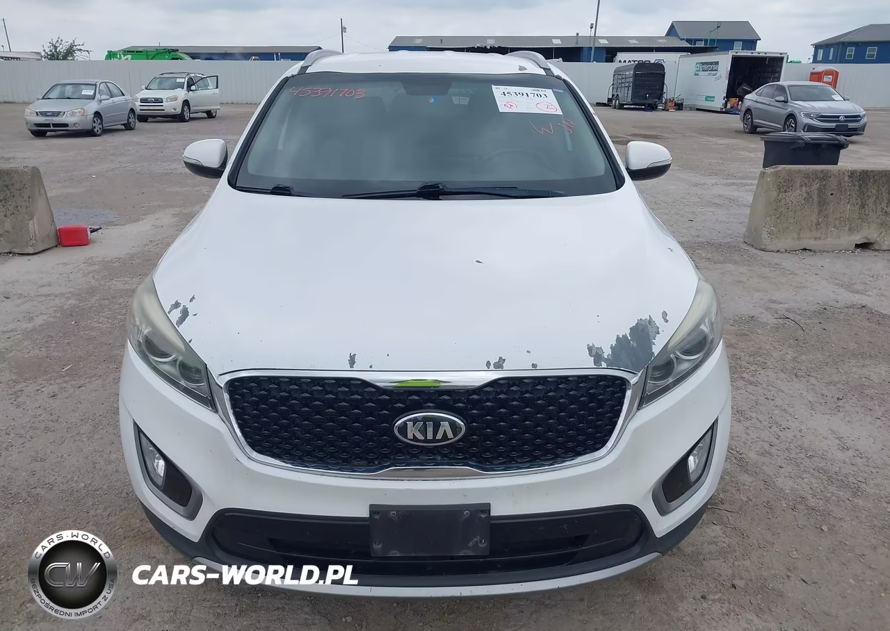 2016 Kia Sorento 3.3L Ex VIN:5XYPHDA5XGG015618 - 12