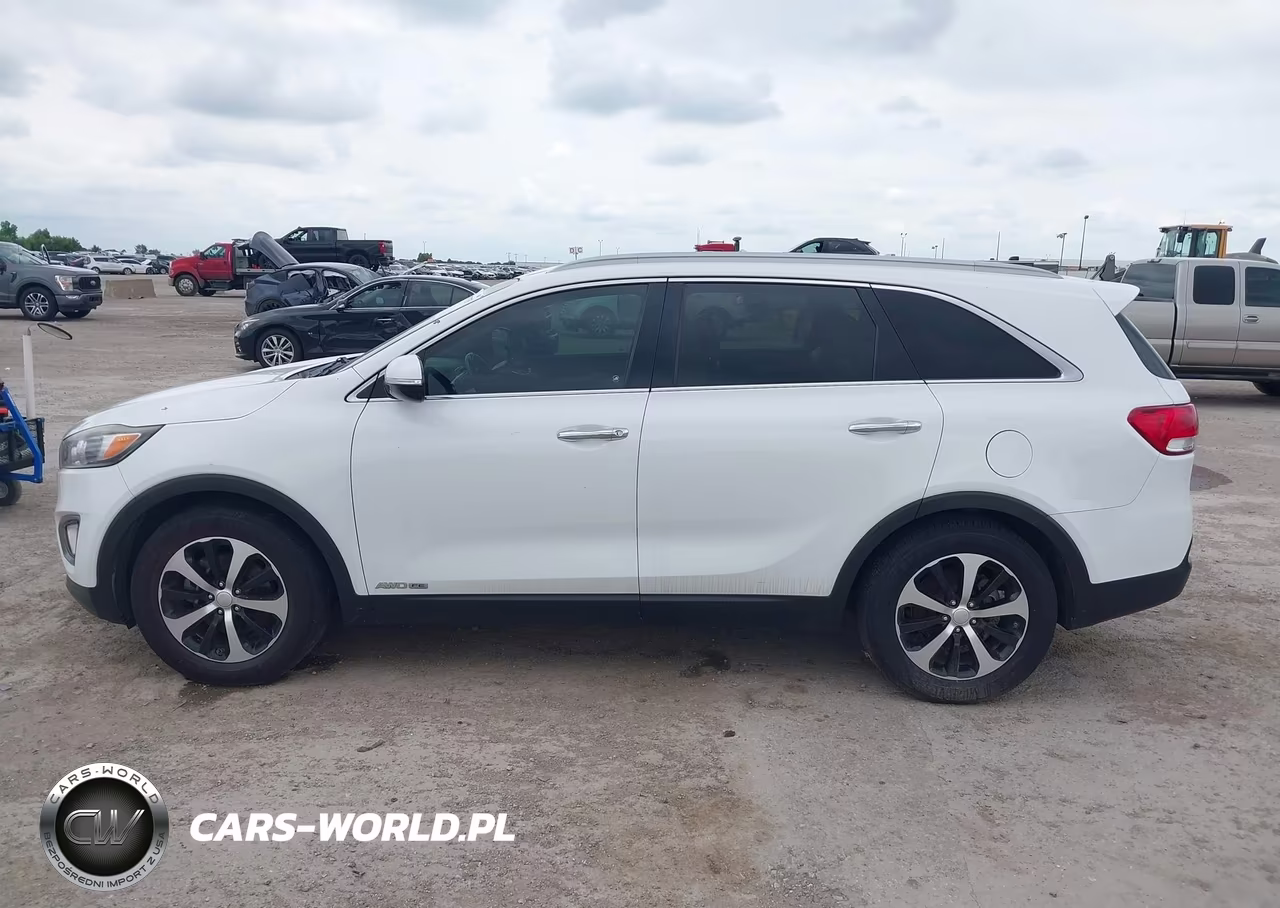 2016 Kia Sorento 3.3L Ex VIN:5XYPHDA5XGG015618 - 14