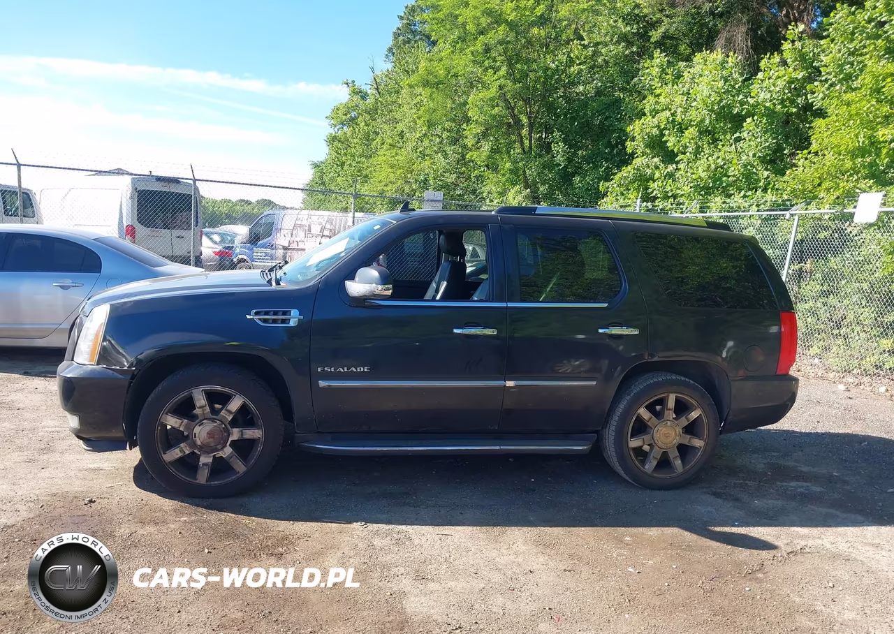2011 Cadillac Escalade Luxury VIN:1GYS4BEF6BR147261 - 14
