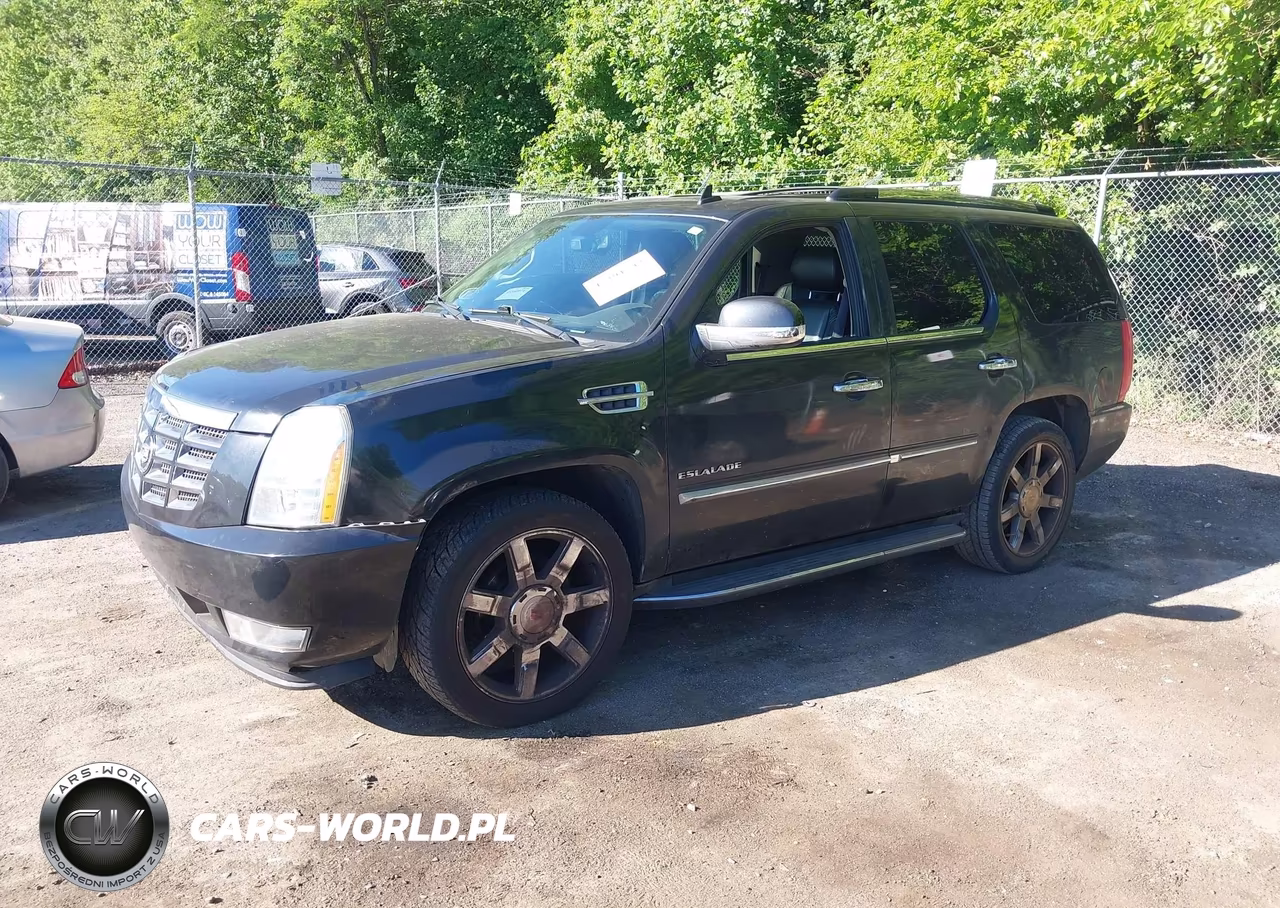 2011 Cadillac Escalade Luxury VIN:1GYS4BEF6BR147261 - 2
