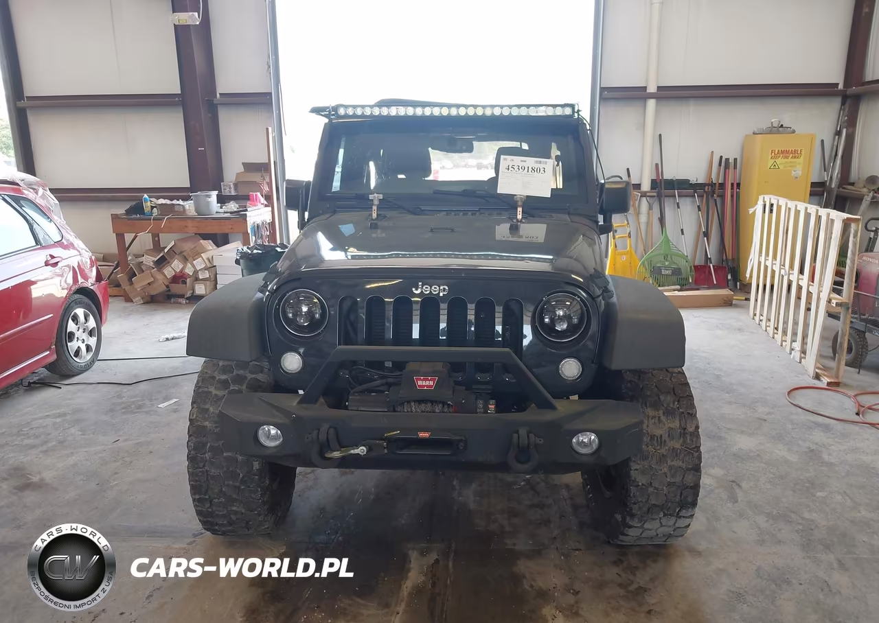 2016 Jeep Wrangler Unlimited Rubicon VIN:1C4BJWFG5GL254714 - 13