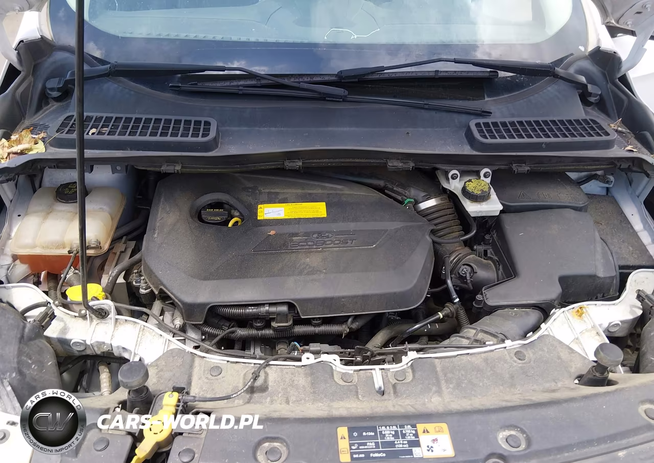2016 Ford Escape Titanium VIN:1FMCU0JX7GUA72325 - 10