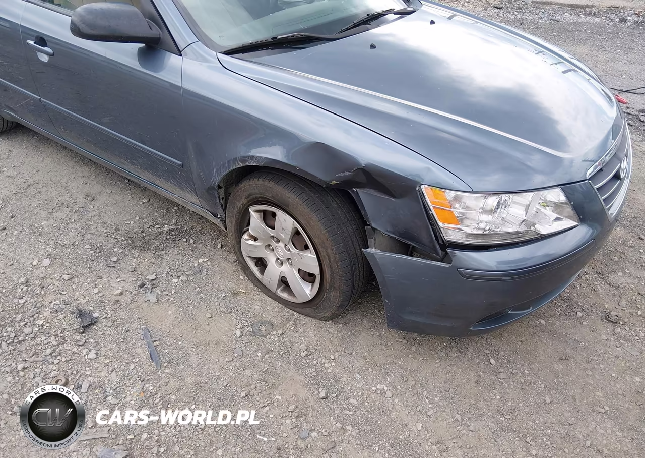 2010 Hyundai Sonata Gls VIN:5NPET4AC9AH622419 - 6