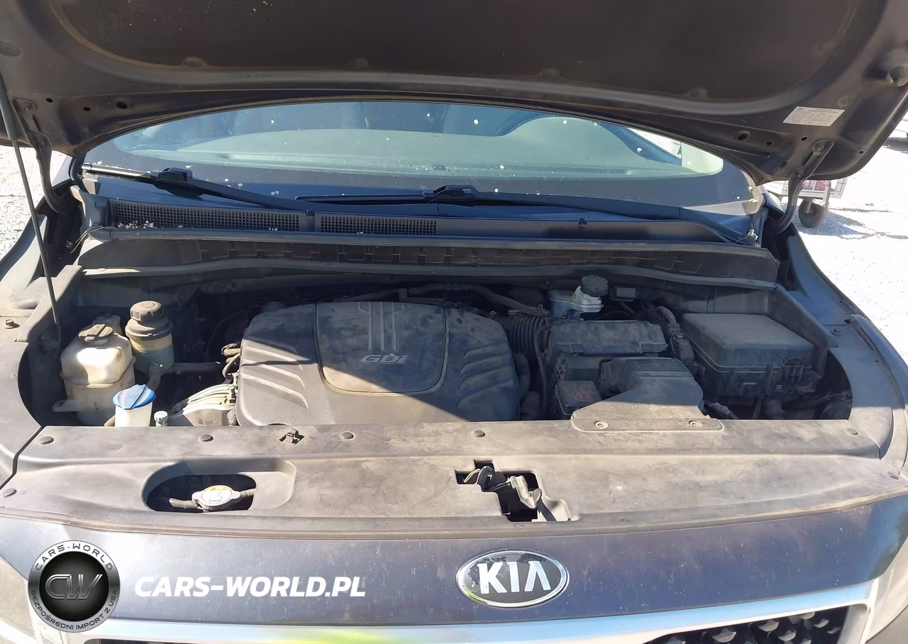 2017 Kia Sedona Lx VIN:KNDMB5C18H6225367 - 10