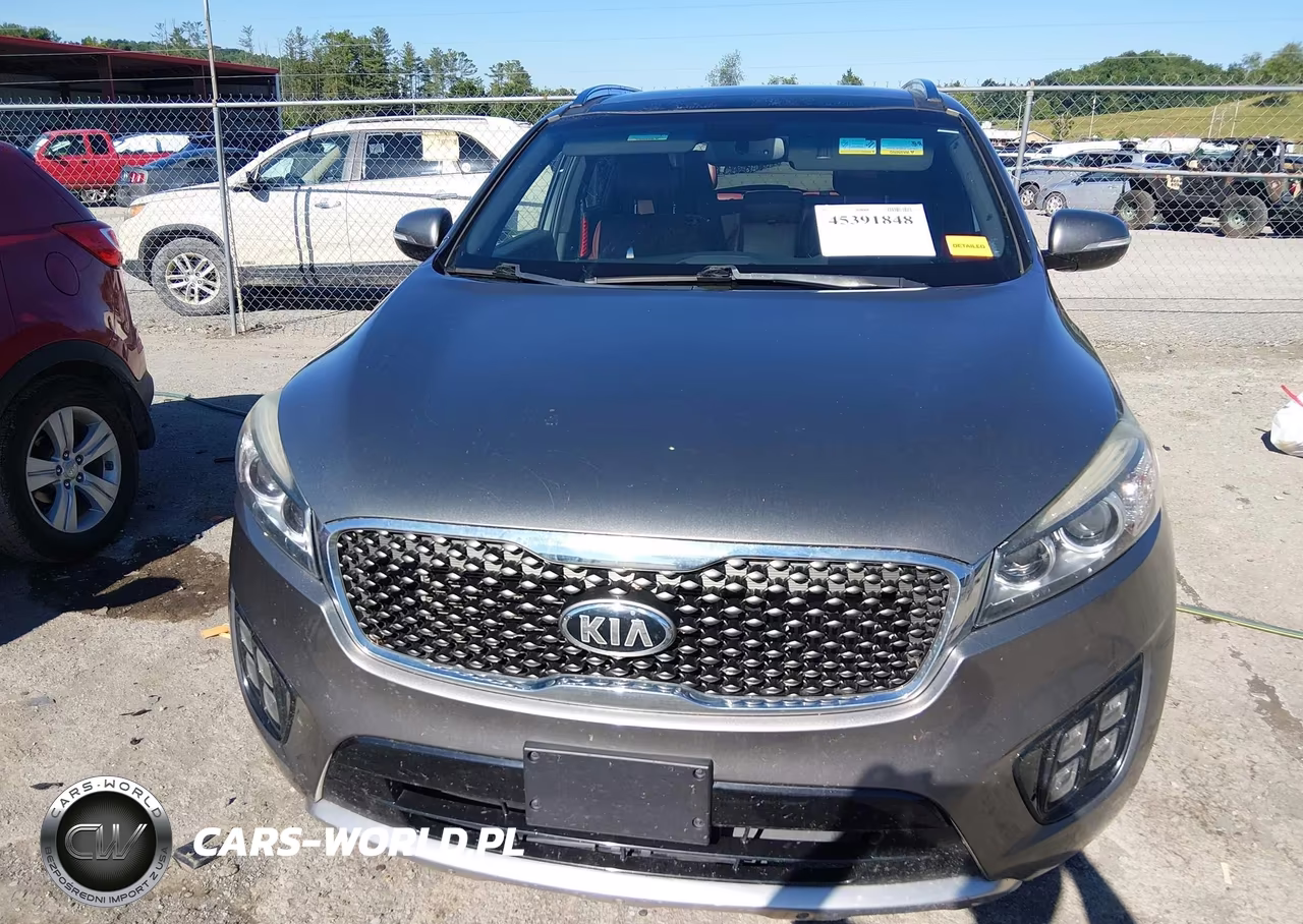 2016 Kia Sorento 2.0T Sxl VIN:5XYPKDA16GG046377 - 13